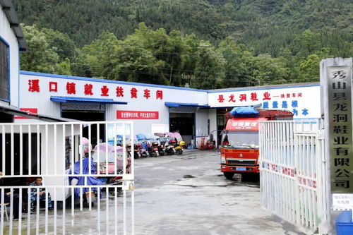 買鞋就買宸足康,一起闊步奔小康 溪口鎮(zhèn)龍洞第一書(shū)記張曉峰為扶貧產(chǎn)品帶貨代言